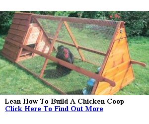 Portable Chicken Coop