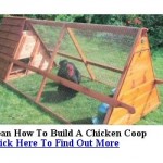Portable Chicken Coop