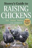 Raising Chickens Picture